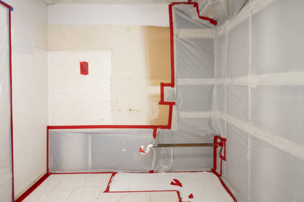 Best Basement Mold Removal  in Gloucester, MA
